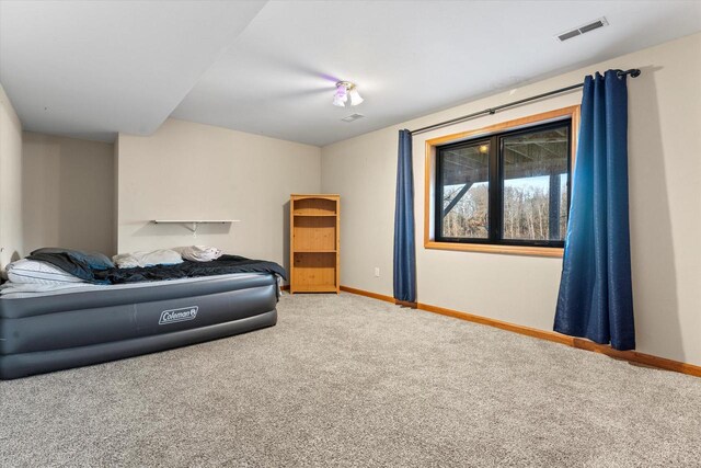 6461 Blue Heron Pointe Dr, Waterford, WI 53185 - bedroom featuring carpet floors