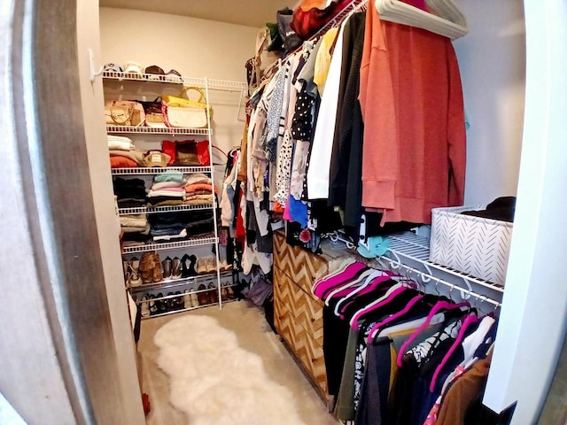 spacious closet featuring carpet floors