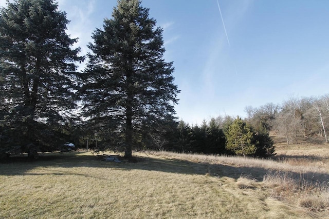 view of yard featuring a rural view