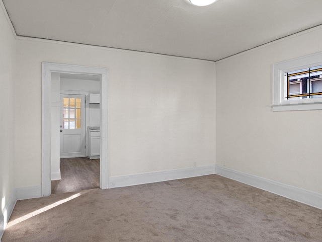 spare room featuring carpet and ornamental molding