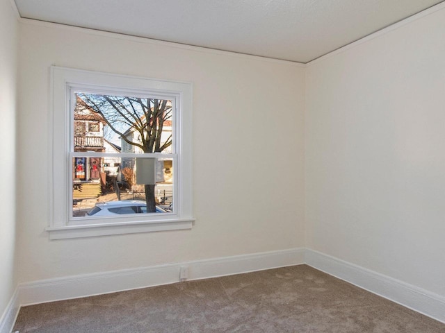 spare room with carpet floors