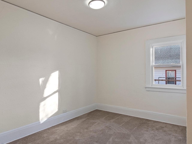 spare room featuring carpet floors