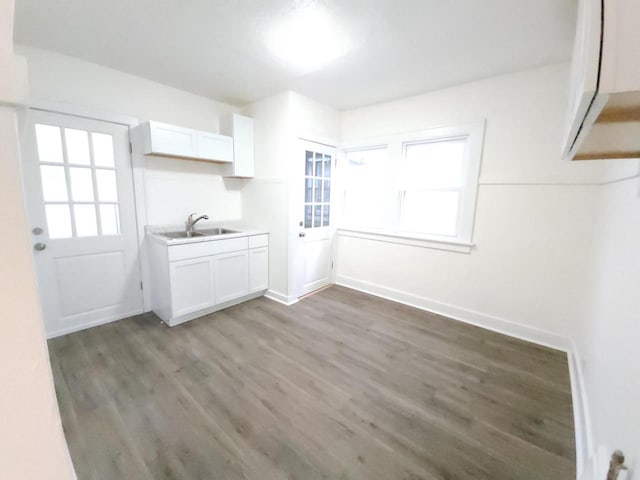 interior space featuring dark hardwood / wood-style floors and sink