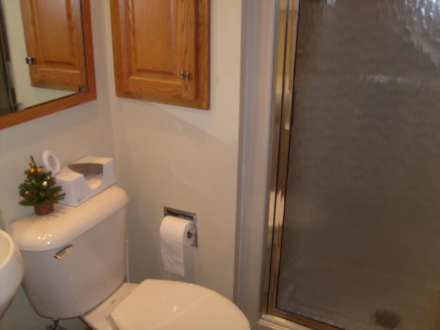 bathroom with toilet and a shower with shower door