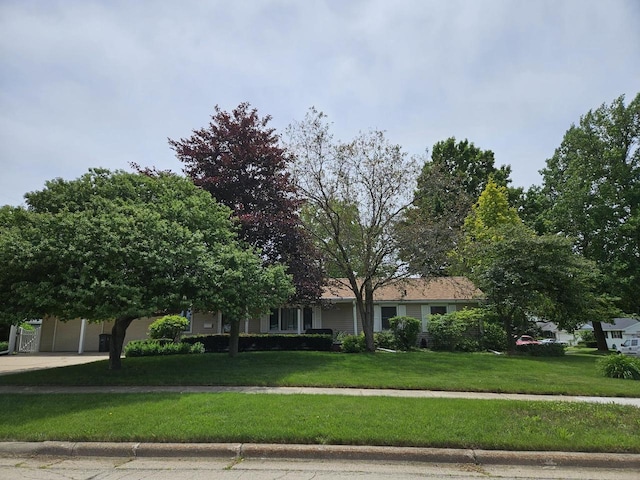 obstructed view of property with a front lawn