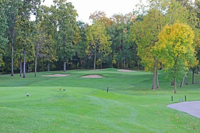 surrounding community featuring a yard