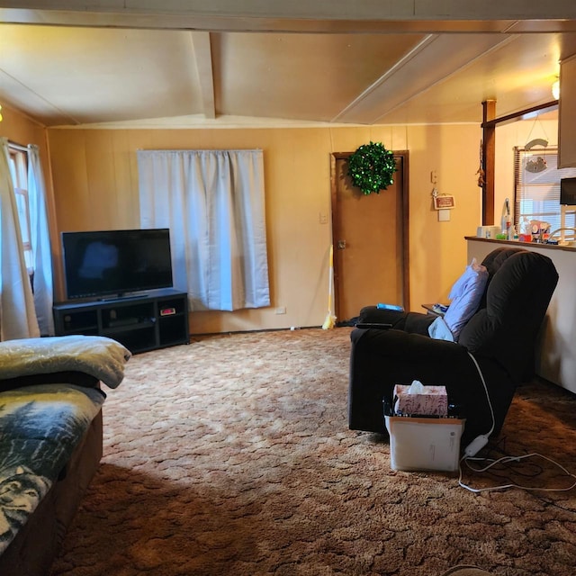 living room featuring carpet flooring