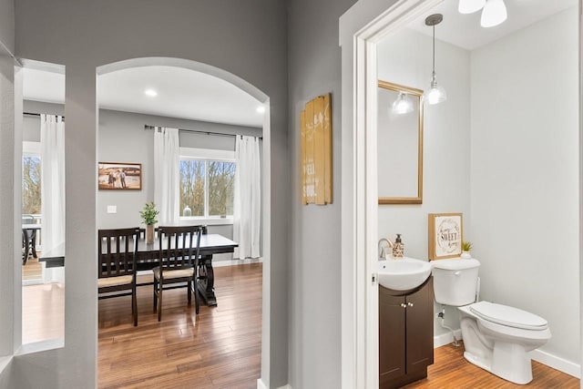 bathroom featuring vanity, hardwood / wood-style flooring, and toilet