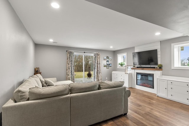 living room featuring a healthy amount of sunlight and light wood-type flooring