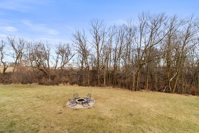 view of yard featuring a fire pit