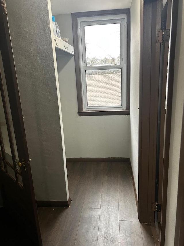 hallway with dark wood-type flooring