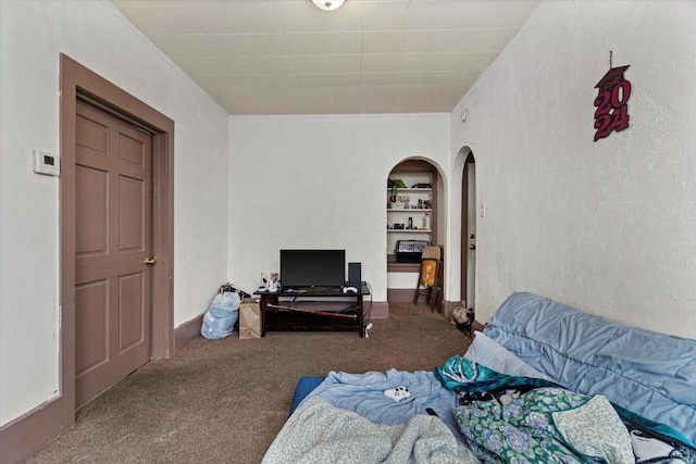 carpeted living room with built in shelves