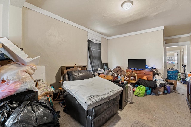 bedroom featuring carpet