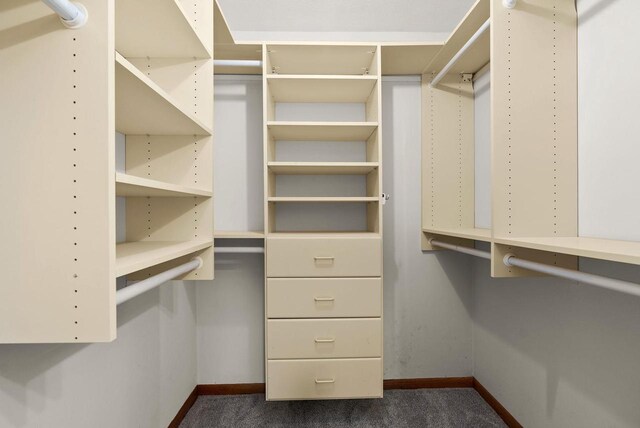 2022 27th St, Monroe, WI 53566 - walk in closet with dark colored carpet