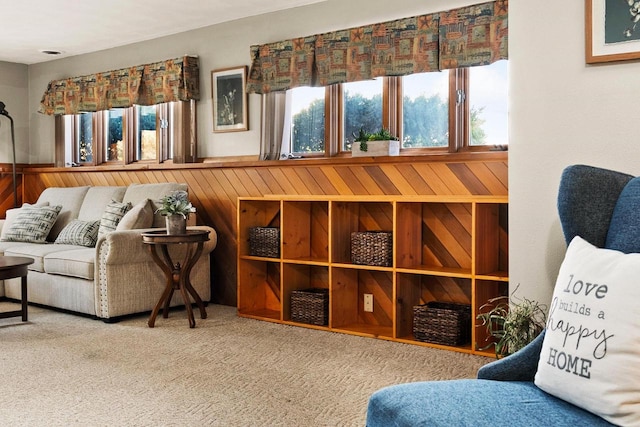 2022 27th St, Monroe, WI 53566 - carpeted living room featuring wooden walls and plenty of natural light