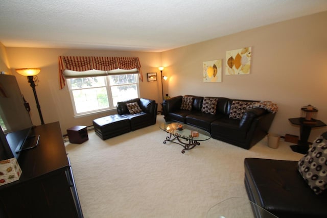 carpeted living room with a textured ceiling