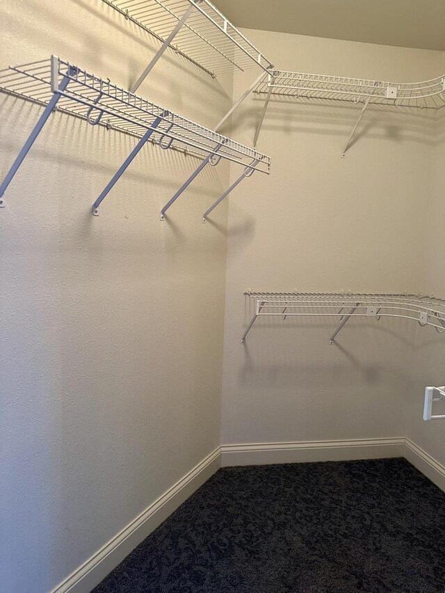 N7859 Lakeside Park Rd, Elkhart Lake, WI 53020 - walk in closet with carpet flooring