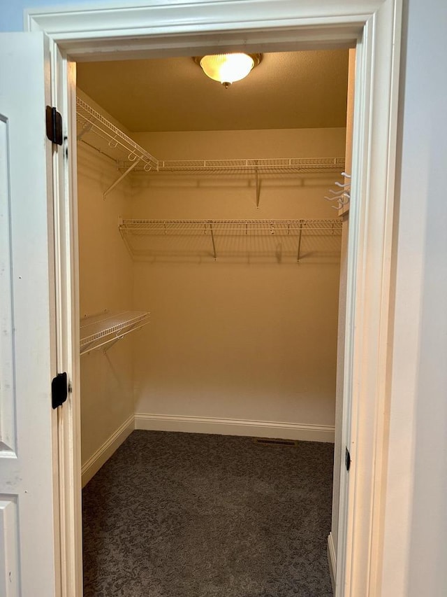 N7859 Lakeside Park Rd, Elkhart Lake, WI 53020 - walk in closet featuring dark carpet