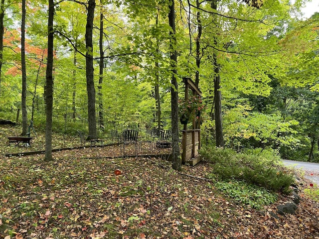 N7859 Lakeside Park Rd, Elkhart Lake, WI 53020 - view of local wilderness