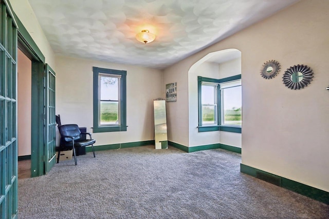 living area featuring dark colored carpet