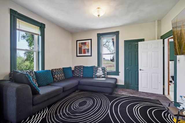 view of carpeted living room