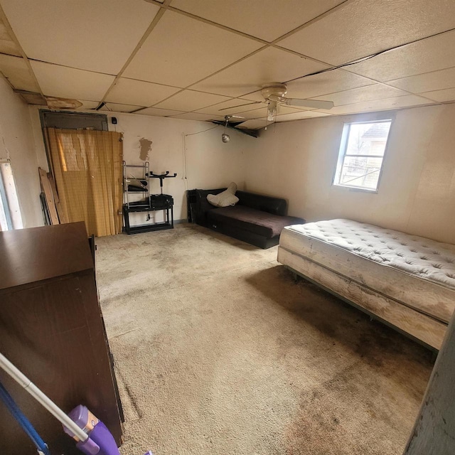 bedroom with carpet flooring, a drop ceiling, and ceiling fan