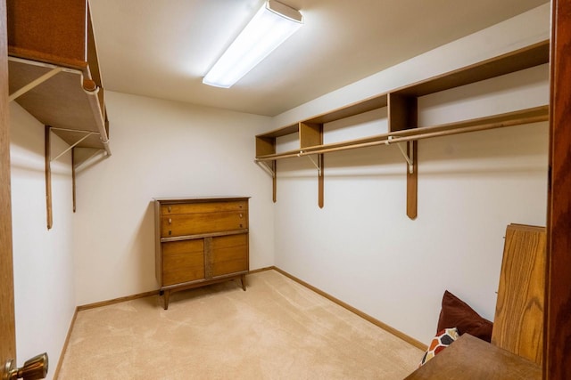 walk in closet with light carpet