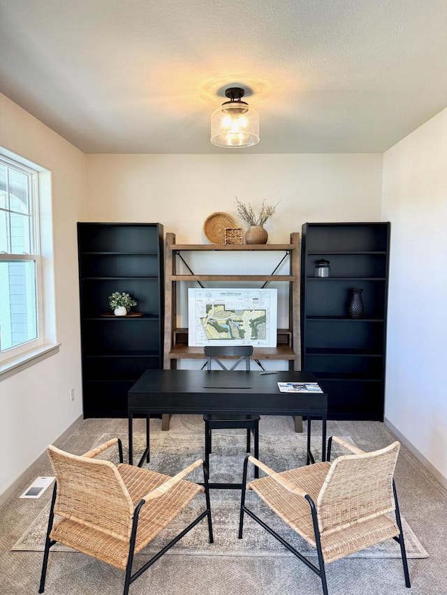 office area featuring carpet flooring