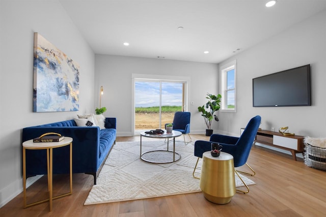 living room with hardwood / wood-style floors