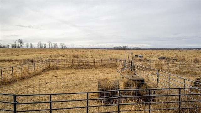 view of yard featuring a rural view