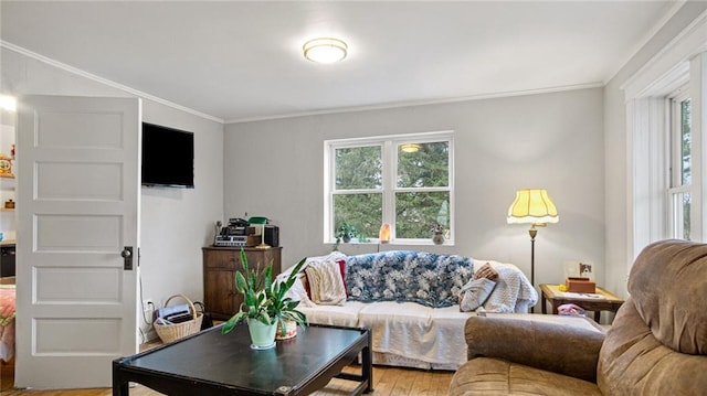 living room with crown molding and wood-type flooring