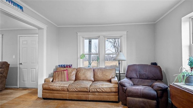 living room with light hardwood / wood-style floors and crown molding