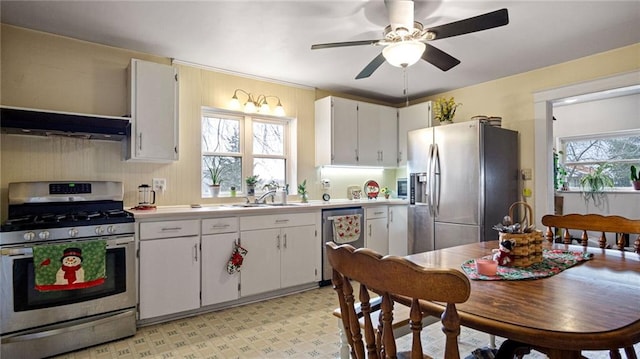 kitchen with ceiling fan, sink, ventilation hood, white cabinets, and appliances with stainless steel finishes