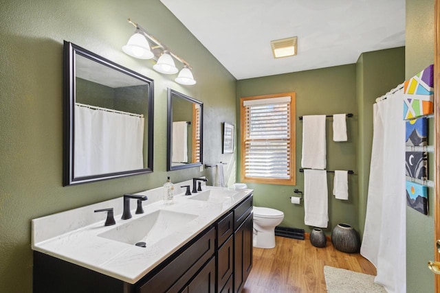 bathroom featuring hardwood / wood-style floors, vanity, and toilet