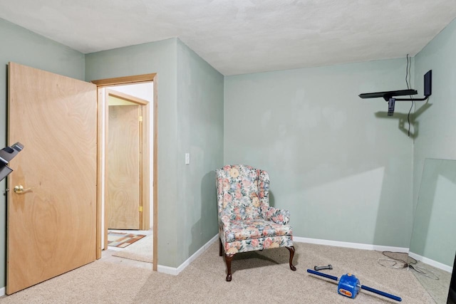 sitting room with carpet