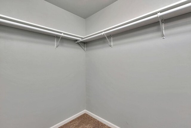 spacious closet with carpet floors