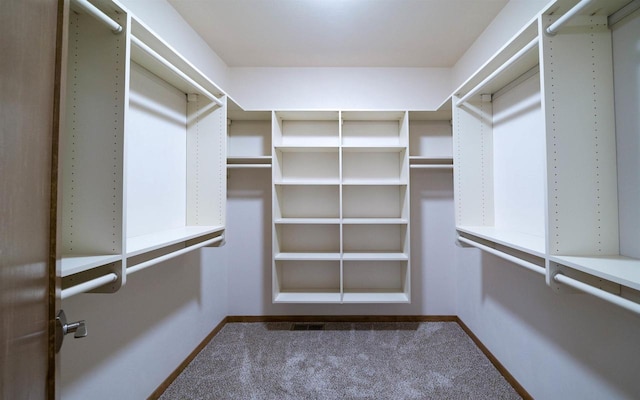 spacious closet featuring carpet