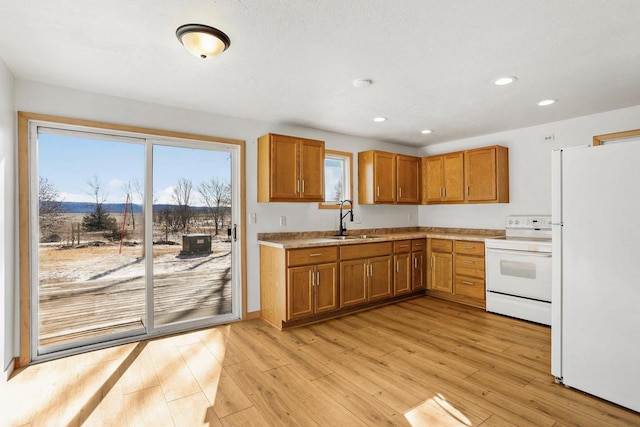 kitchen featuring white appliances, light wood finished floors, brown cabinets, light countertops, and a sink