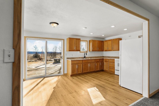 kitchen featuring brown cabinetry, freestanding refrigerator, light countertops, light wood-type flooring, and a sink