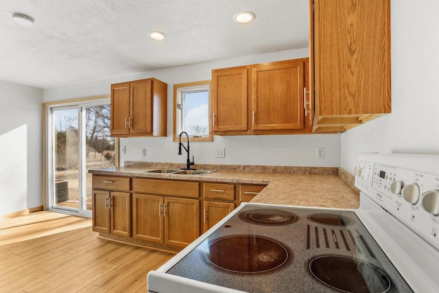 kitchen with light wood finished floors, electric range, a sink, and brown cabinets