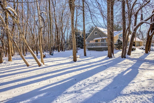 view of yard covered in snow