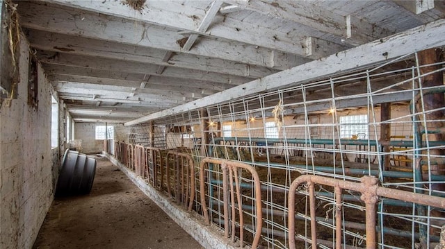 view of horse barn