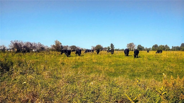 view of nature with a rural view