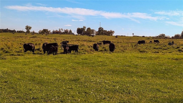 view of landscape featuring a rural view