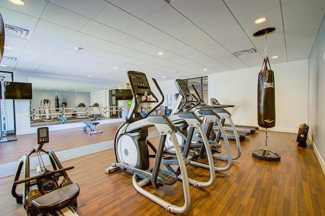 workout area featuring a paneled ceiling and hardwood / wood-style floors