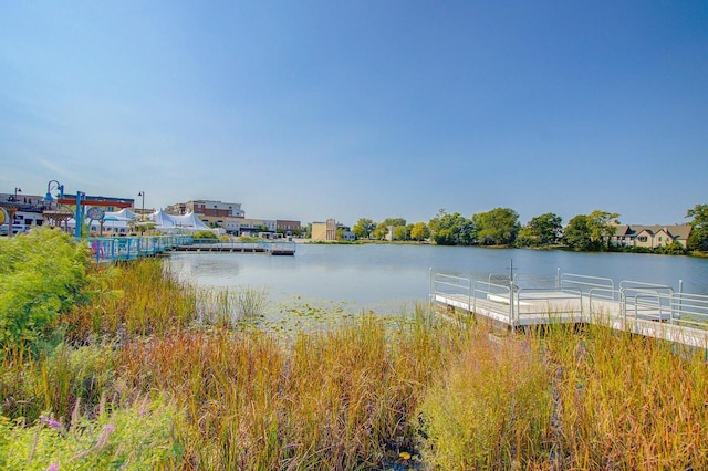 property view of water