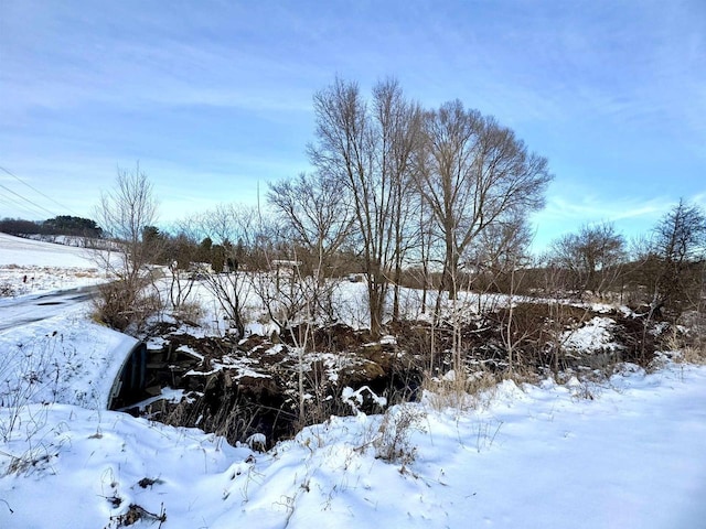 view of snowy yard