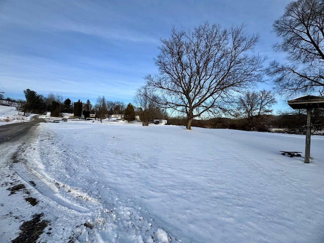 view of yard covered in snow