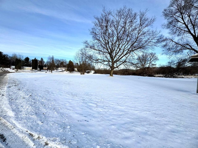 view of yard covered in snow