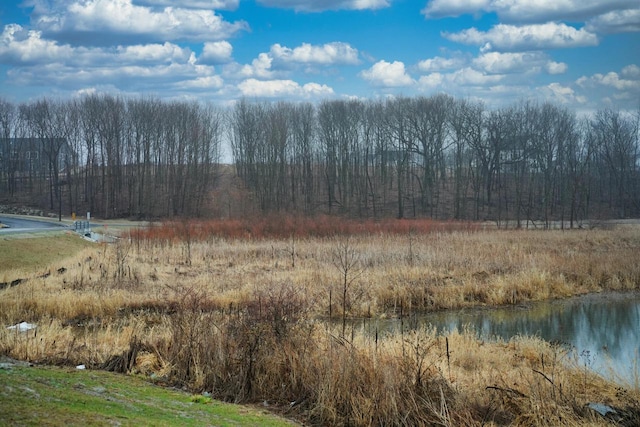 W212N6824 Fairview Dr, Menomonee Falls, WI 53051 - view of local wilderness